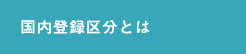 国内登録区分とは
